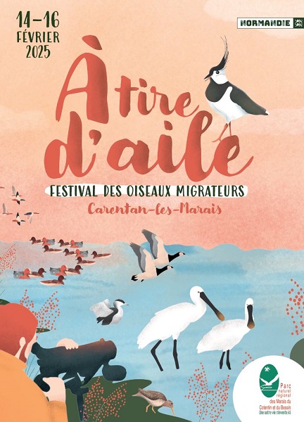 Affiche 2025 A tire d'aile